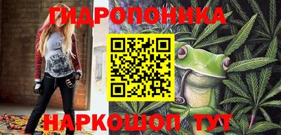 ALPHA PVP Заволжье