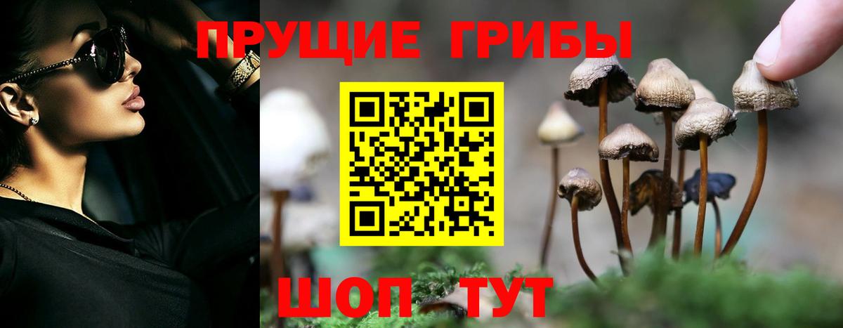 Галлюциногенные грибы ЛСД Старая Русса